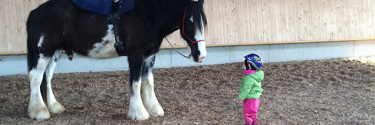 Reittherapie